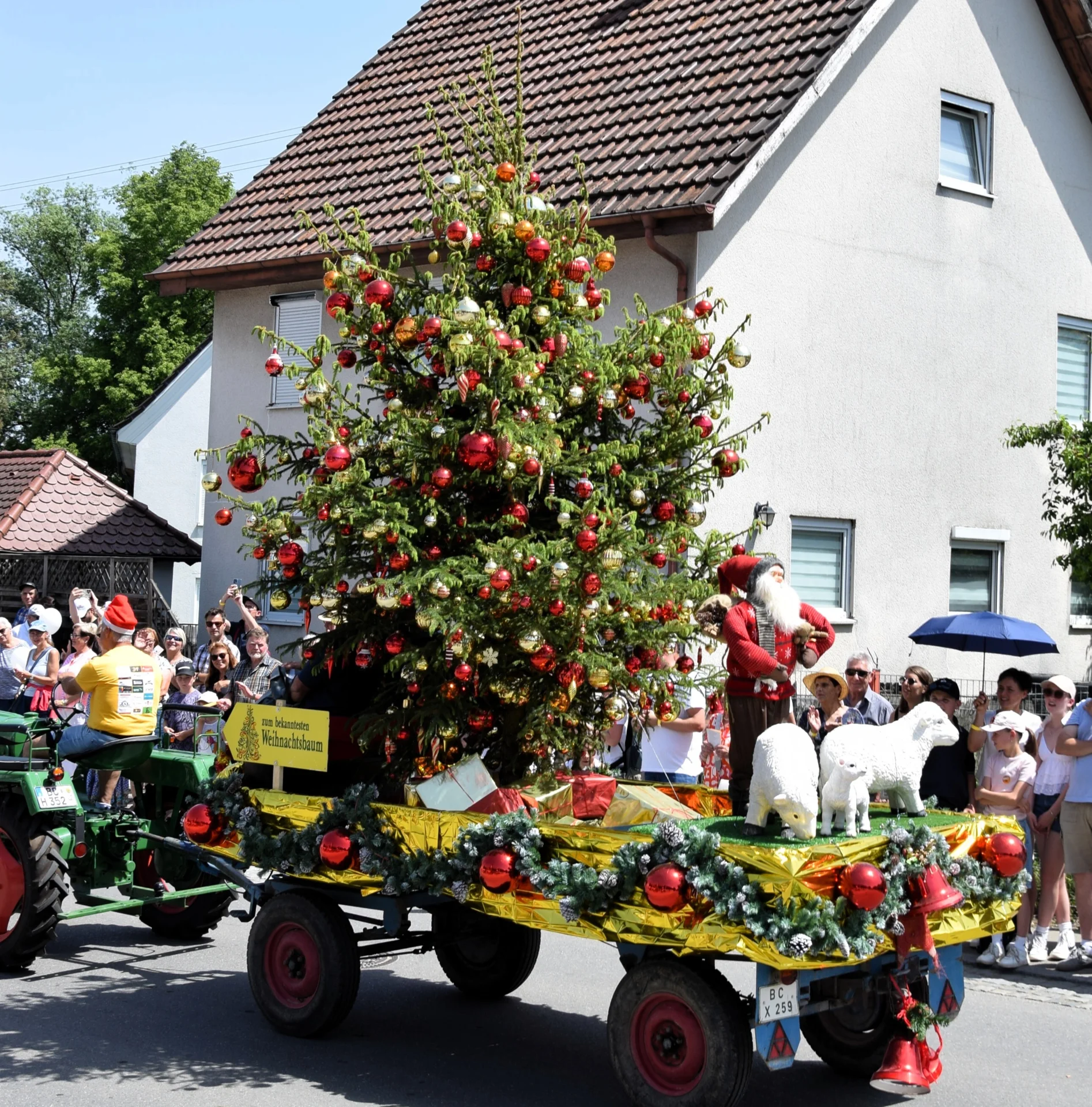 Bild: Christbaum Kleinheinz