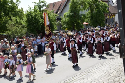 Foto des Albums: Kreismusikfest Schemmerberg, Festumzug