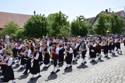 Musikverein Schemmerhofen  (Bild vergr&ouml;&szlig;ern)