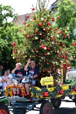 Foto des Albums: Kreismusikfest Schemmerberg, Festumzug