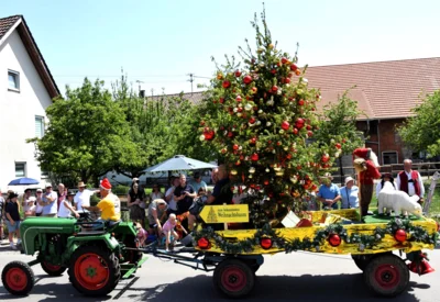 Christbaum Kleinheinz  (Bild vergr&ouml;&szlig;ern)