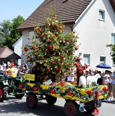 Christbaum Kleinheinz  (Bild vergr&ouml;&szlig;ern)