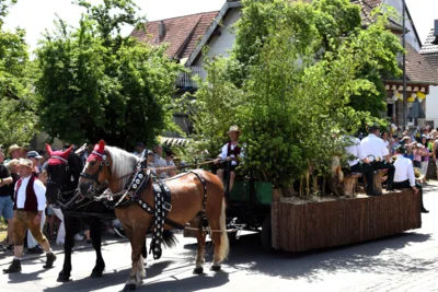 Jagdhornbl&auml;ser Hegering Laupheim  (Bild vergr&ouml;&szlig;ern)