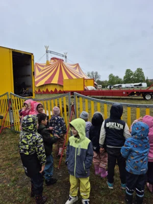 Foto des Albums: Spaziergang zum Zirkus