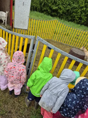 Foto des Albums: Spaziergang zum Zirkus