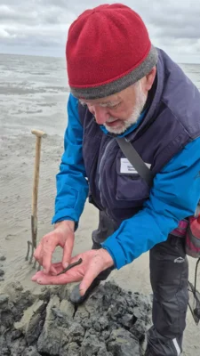 Foto des Albums: Mädelsausflug an die Wurster Nordseeküste