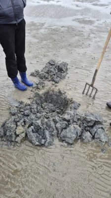Foto des Albums: Mädelsausflug an die Wurster Nordseeküste