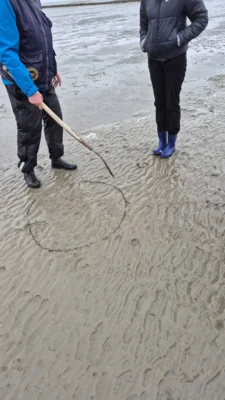 Foto des Albums: Mädelsausflug an die Wurster Nordseeküste