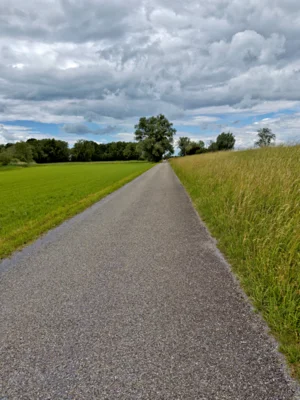 Foto des Albums: Radtour zum Rohrspitz