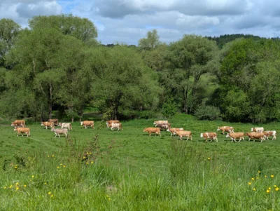 Foto des Albums: Hofbilder