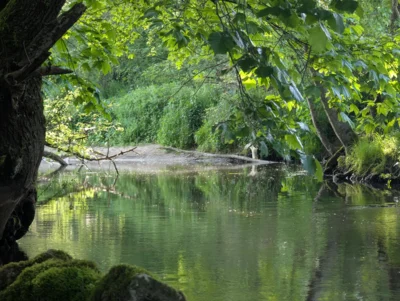 Foto des Albums: Hofbilder