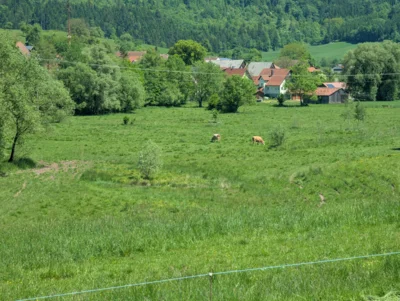 Foto des Albums: Hofbilder