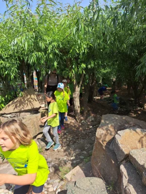 Foto des Albums: Kindertagsausfahrt nach Akazien