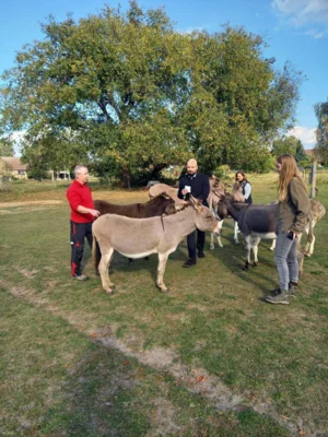 Foto des Albums: Tiersegnung