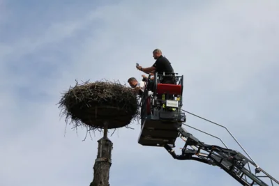 Christian Reis bei seiner Arbeit.  (Bild vergr&ouml;&szlig;ern)