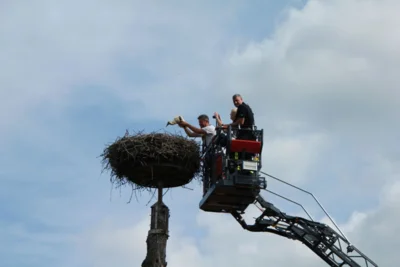 Christian Reis zeigt den Besuchern einen Jungstorch.  (Bild vergr&ouml;&szlig;ern)