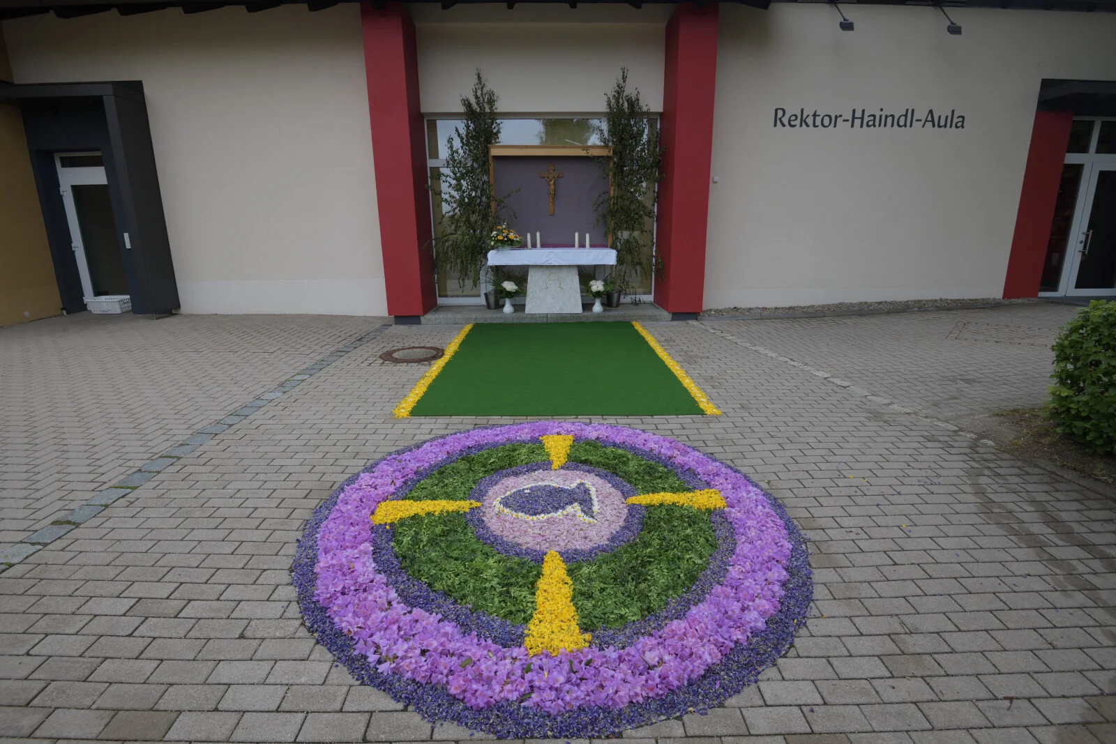 Bild der Galerie
