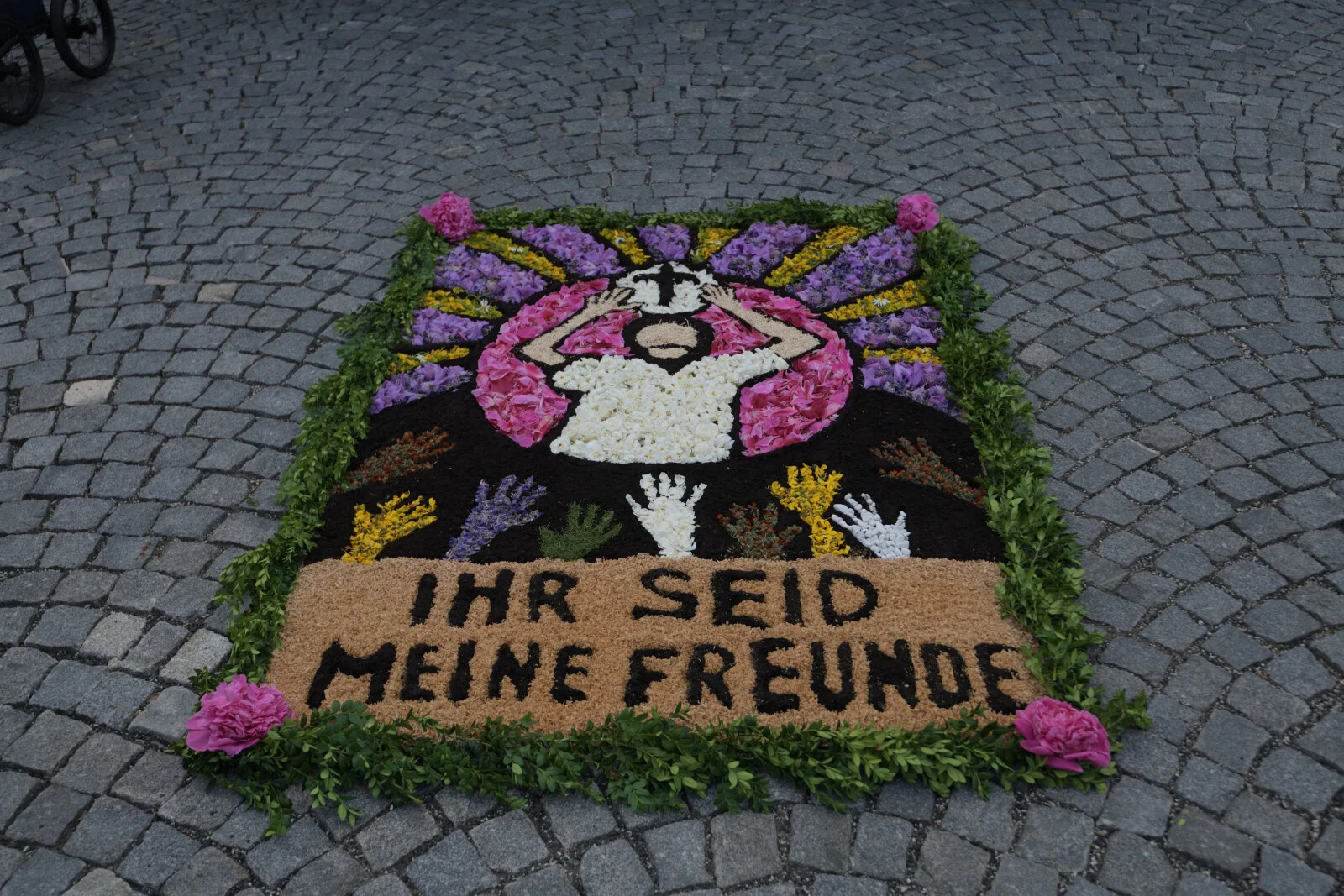 Bild der Galerie