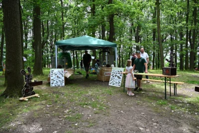 RKZV F164 Friedrichsgr&uuml;n e.V.  (Bild vergr&ouml;&szlig;ern)