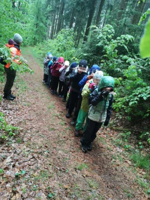 Foto des Albums: Waldjugendspiele 2026