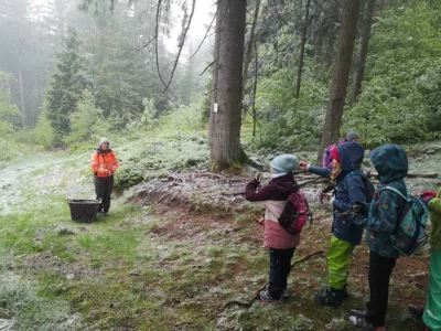 Foto des Albums: Waldjugendspiele 2026