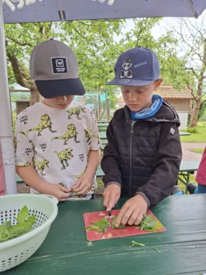 Foto des Albums: Umweltstation Waldsassen