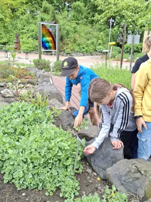 Foto des Albums: Umweltstation Waldsassen