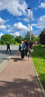 Foto des Albums: Erfolgreicher Abschlussprüfung Niedersächsischer Hundeführerschein