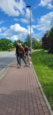 Foto des Albums: Erfolgreicher Abschlussprüfung Niedersächsischer Hundeführerschein