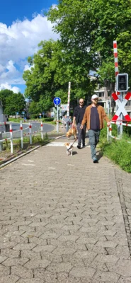 Foto des Albums: Erfolgreicher Abschlussprüfung Niedersächsischer Hundeführerschein