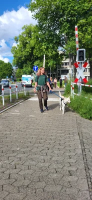Foto des Albums: Erfolgreicher Abschlussprüfung Niedersächsischer Hundeführerschein