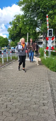 Foto des Albums: Erfolgreicher Abschlussprüfung Niedersächsischer Hundeführerschein