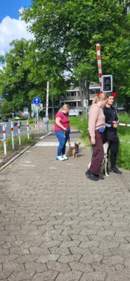 Foto des Albums: Erfolgreicher Abschlussprüfung Niedersächsischer Hundeführerschein