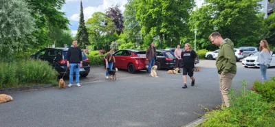 Foto des Albums: Erfolgreicher Abschlussprüfung Niedersächsischer Hundeführerschein