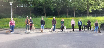 Foto des Albums: Erfolgreicher Abschlussprüfung Niedersächsischer Hundeführerschein