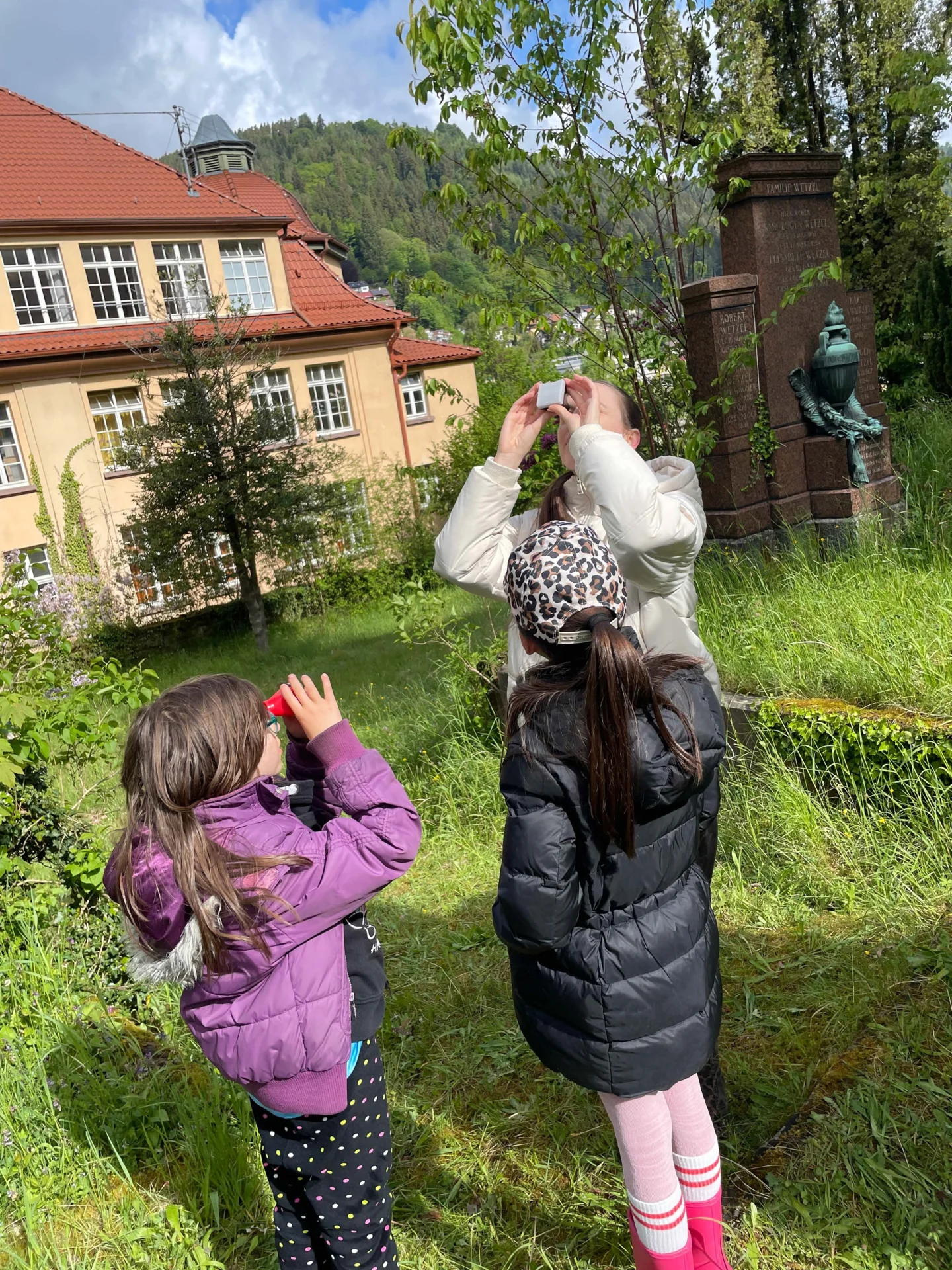 Bild der Galerie