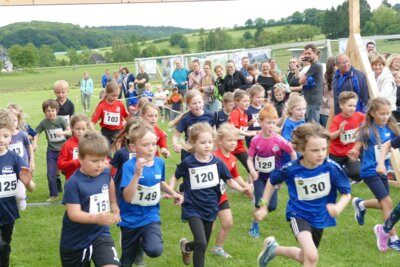 cross26 (2026 06 03 16 24 32 