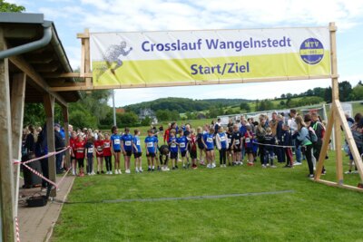 cross26 (2026 06 03 16 32 12 