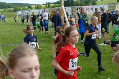 cross26 (2026 06 03 16 38 38 