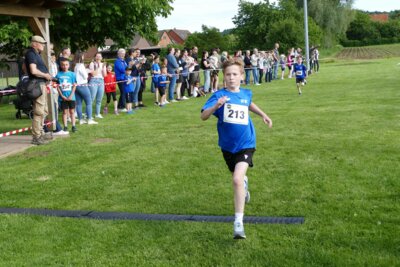 cross26 (2026 06 03 16 43 58 