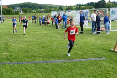 cross26 (2026 06 03 16 44 51 