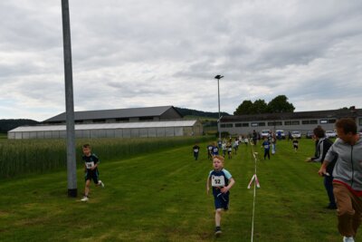 Foto des Albums: Crosslauf 2026