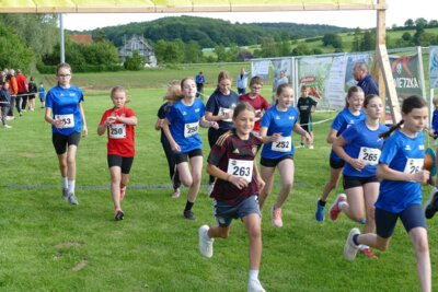 Foto des Albums: Crosslauf 2026