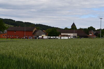 Foto des Albums: Crosslauf 2026