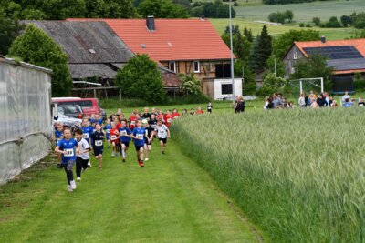 Foto des Albums: Crosslauf 2026