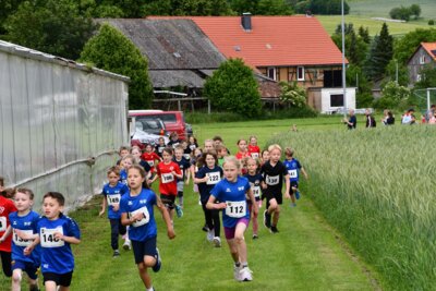 Foto des Albums: Crosslauf 2026