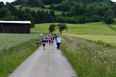 Foto des Albums: Crosslauf 2026