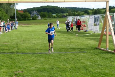 Foto des Albums: Crosslauf 2026