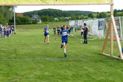 Foto des Albums: Crosslauf 2026
