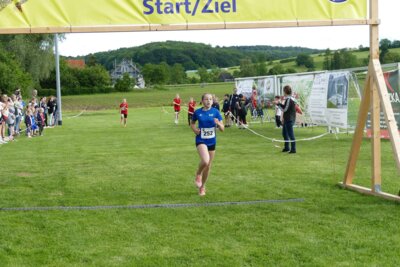Foto des Albums: Crosslauf 2026